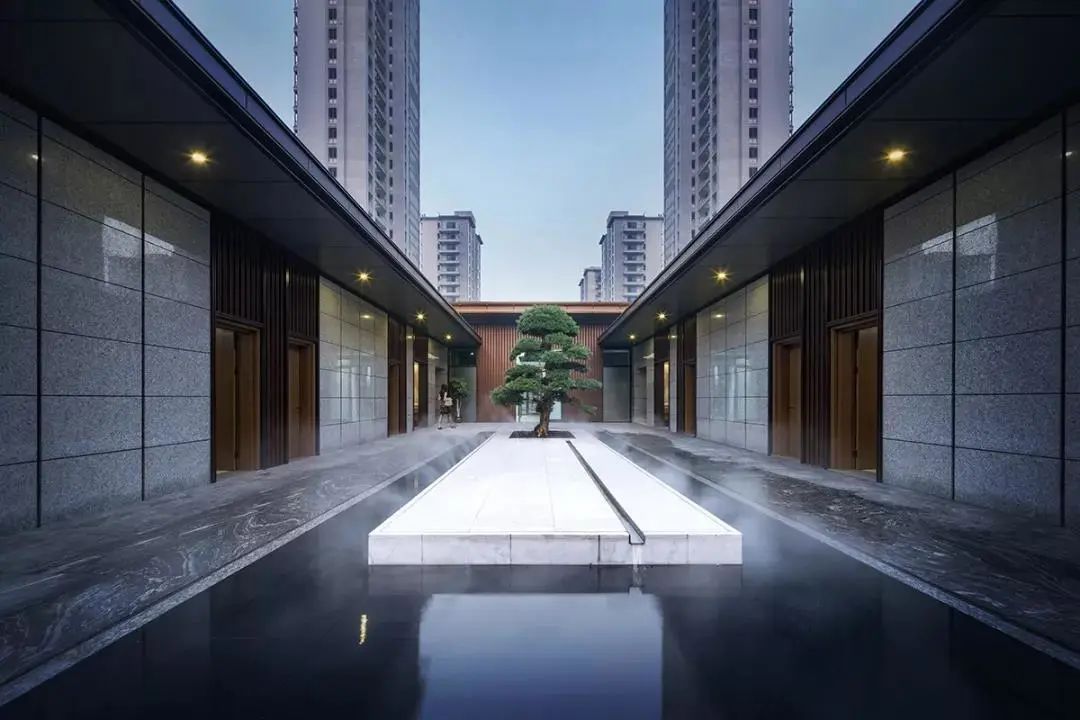  「棵树」一颗树，点亮整个庭院空间，美呆了~（附孤植清单）