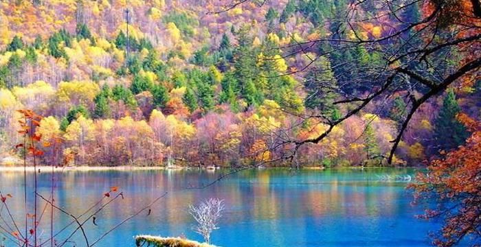 五光十色的九寨沟你去过么？感兴趣的朋友不妨来和我一起了解一下