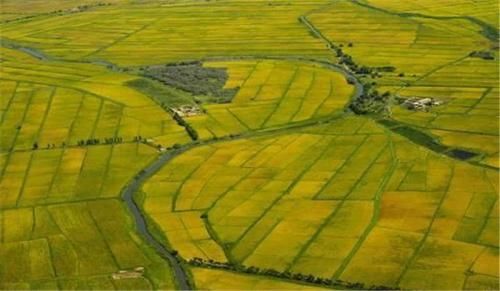  周口|中国最“平坦”的城市，人口800多万，很多人一辈子没见过