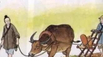  【米饭】俗语“春打五九尾，米饭断脚”是什么意思？今年立春是