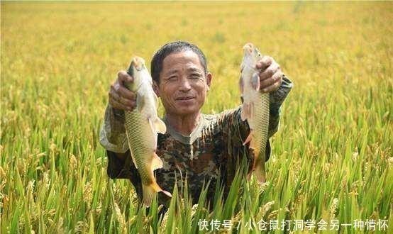  #给出#怎样把农民留在农村？国家给出答案，“三留”措施，可行