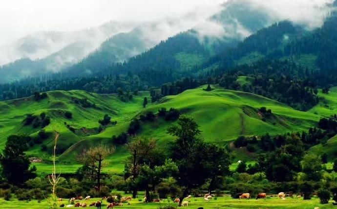 270多万平方公里的哈萨克斯坦, 有四大地貌, 最美还是伊犁河谷