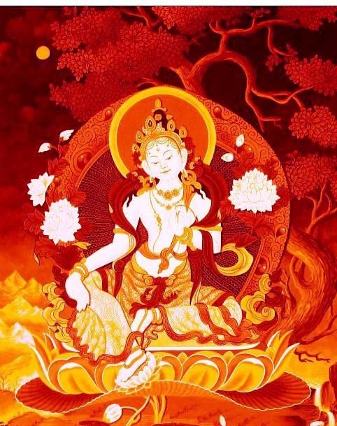 明心以后，修加行道的四个阶段，之后就是一地菩萨了