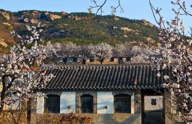山东这些古村落，惊艳了全中国