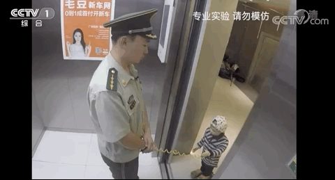  再犯|两岁女童被吊电梯门！家长别再犯这个错
