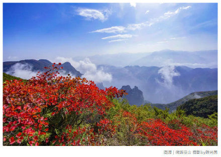 “巫山红叶节”开幕啦！万山红遍，赴一场与红叶的约定