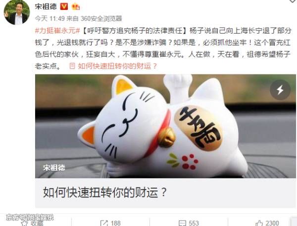 宋祖德呼吁警方一定要追究杨子的法律责任，网友态度令人深思!