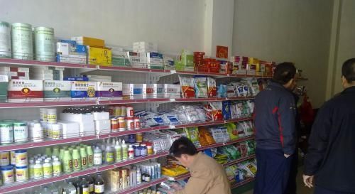  「更多」农村的新思路致富门路，有条件的不妨研究一下，开发更