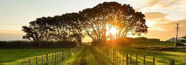  #补贴#2019粮食补贴标准出炉？两类人标准提高、三类农民不再有