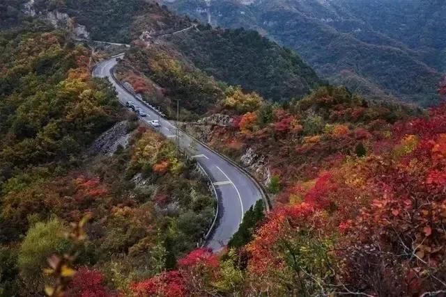 太行山，赏红叶，观秋景