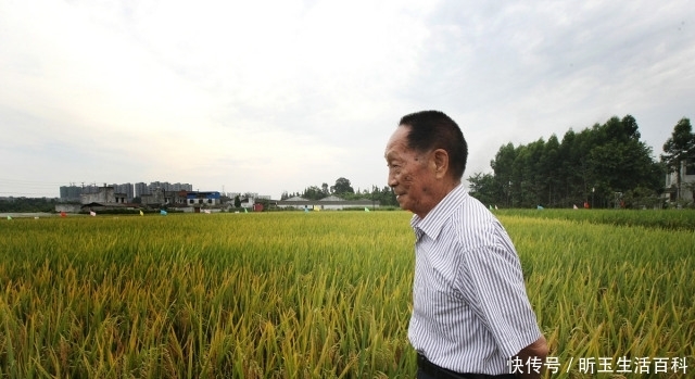  董事长|出任董事长、还有两个目标！袁隆平：我没有想过退休！