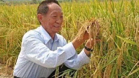 中国攻克世界难题，沙漠地区被彻底治理，西方感叹:堪称一大奇迹