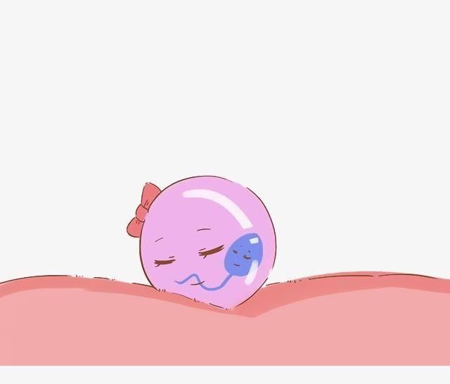 【受精】宝宝的性别是受精时决定,还是成型时决定的呢?
