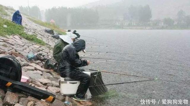  水域的水温■春雨过后好钓鱼！为什么大雨、暴雨后没口呢原因就在这4方面