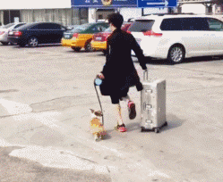 薛之谦发博公布当爸爸的消息，拿亲儿子作秀薛之谦表演型人格悲哀