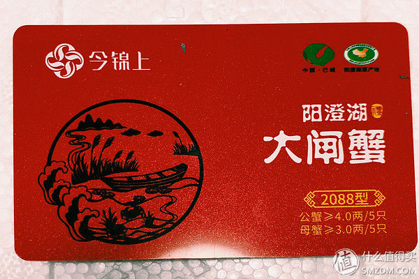 巨石黄金重，蟹肥白玉香--今锦上 阳澄湖大闸蟹试吃体验