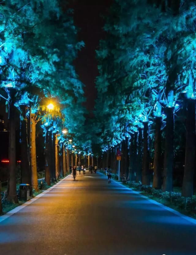 2019年军运会会对武汉有多大影响？武汉未来的发展趋势会怎样？