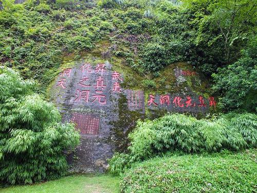 中国最珍贵的两棵树，一棵在福建，一棵在安徽，24小时都有专人守