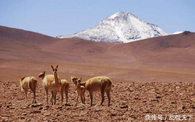 世界最干旱地区： 地表温度甚至比火星还要高出许多