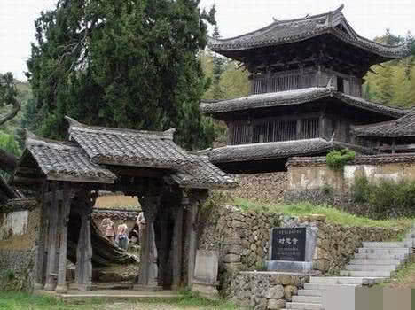 浙江有棵坚强树，树龄1500年，内部空心，靠钢筋、营养液过活