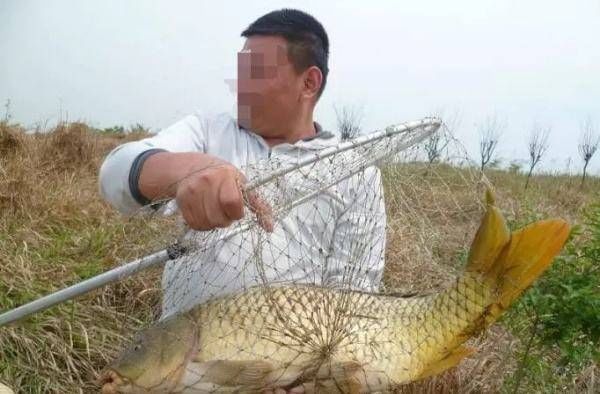 『就算』别以为大鱼上钩、溜疲了就算完了,抄鱼没抄好,跑鱼也是常事