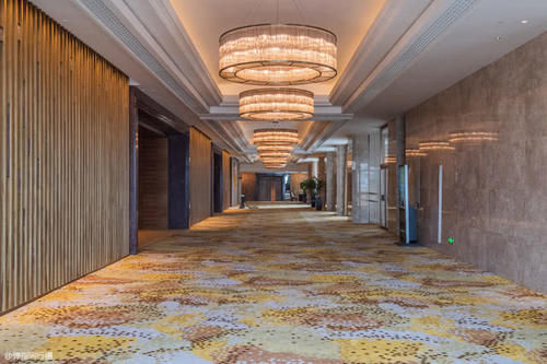 粤港澳大湾区风景