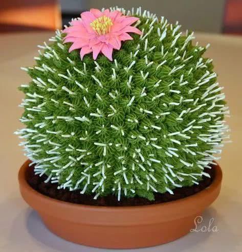 『开出的花』非常罕见的仙人掌,一起欣赏!