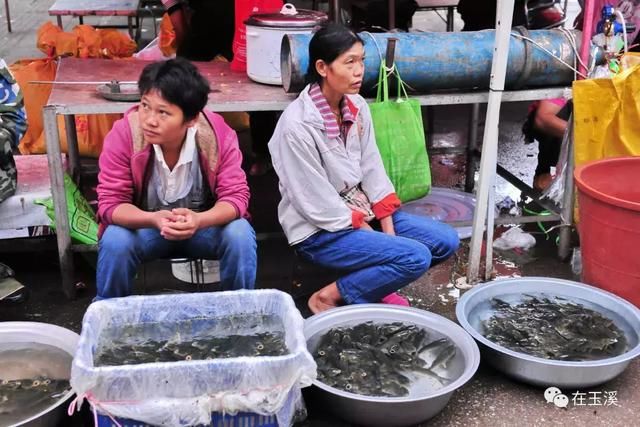 易门绿汁镇首届稻田开鱼节 带你找回儿时快乐！