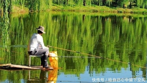 「钓鱼」夏季钓鱼,有这4宜,方向对了上鱼更多!