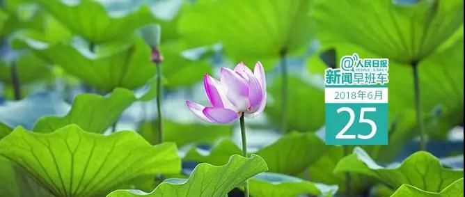 【6.25早安鲁山】来了,国内国际新闻早班车|太吓人了,飞驰的“电