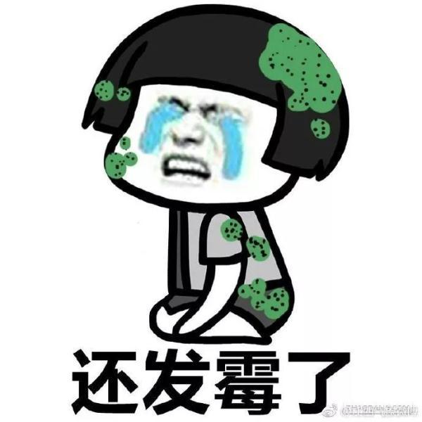 浙江最近为啥一直雨雨雨，太阳君到底什么时候会出场？