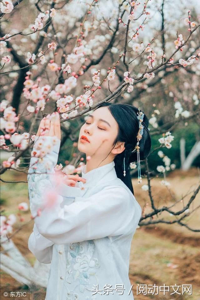 药窕淑女--谣言虽是淡了，却并未真的消失