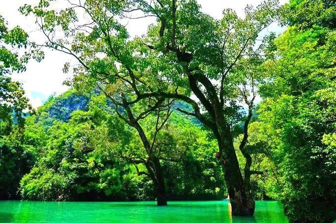 仅十几万人口的贵州小县,拥有堪比张家界的山,不输九寨沟的水!