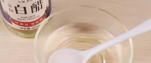  【开花数量】茉莉花开花少，只需一片柠檬，给它来杯“柠檬水”，白花呼呼开