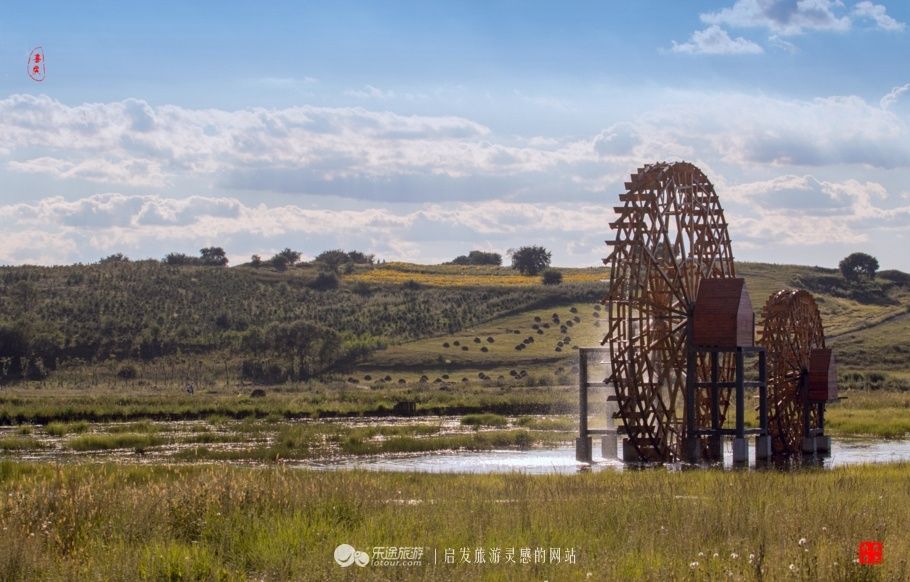 风吹草低见牛羊 说的就是这儿
