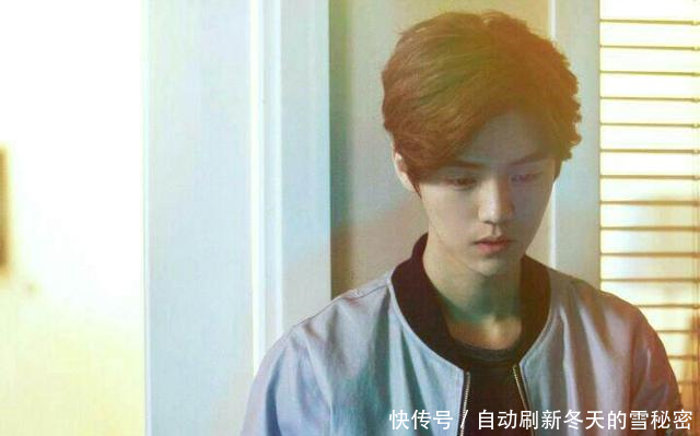 王宝强年收入,黄渤年收入,鹿晗年收入,差距真不