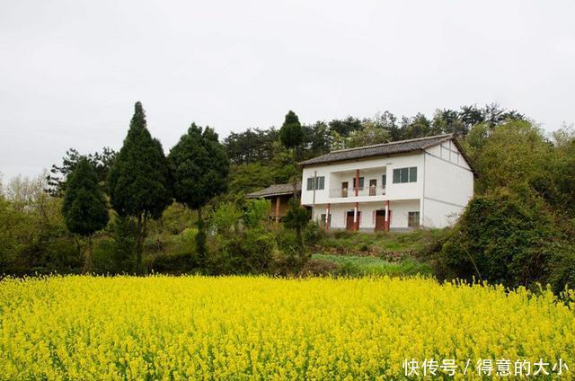  「查处」下月起，将清查这3类人，村干部带头查处，来看一下有你