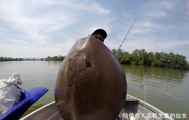 强烈要求李大毛老师停止游钓中国, 远征湄公河降服真正的巨物