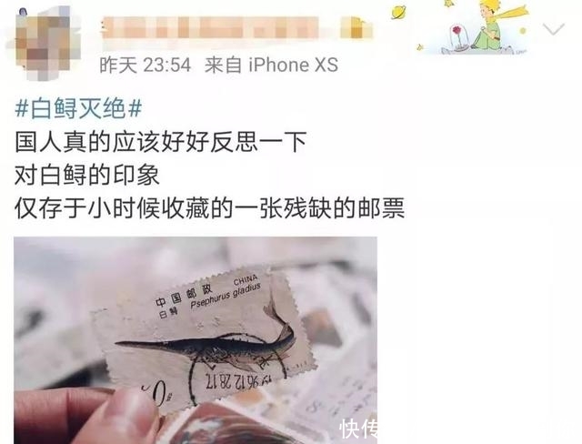  中华鲟|又一个物种灭绝，中国淡水鱼之王未能跨入2020……