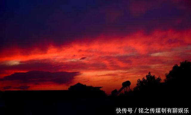 平均气温大于22℃:昨天,上海因为它登上热搜!美到窒息……