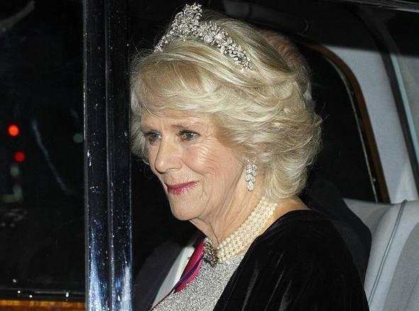 英国王妃戴王冠: 梅根美过了凯特, 卡米拉真的没法与戴安娜相比!