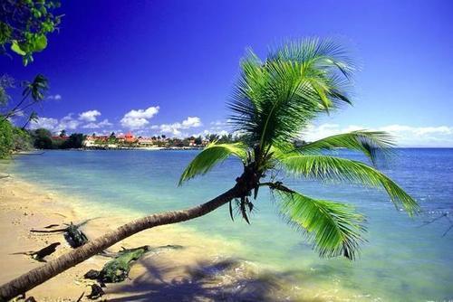 一旦去了这些地方，其他就都成了将就！