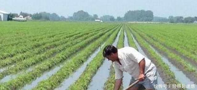 农业户口取消已成定局，专家分析未来的农村定会面临3大结局