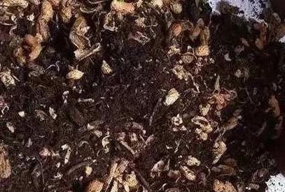  『省钱』瓜子皮、花生壳这样做，养啥都“爆盆”，肥效持久，方便又省钱