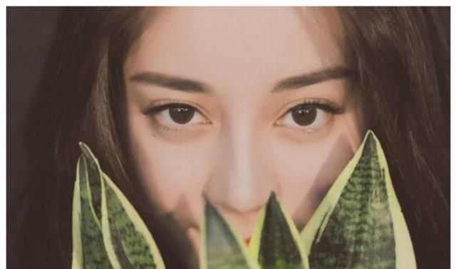 实至名归@5位“零整容”女星，关晓彤热巴上榜，赵丽颖可爱，而她实至名归