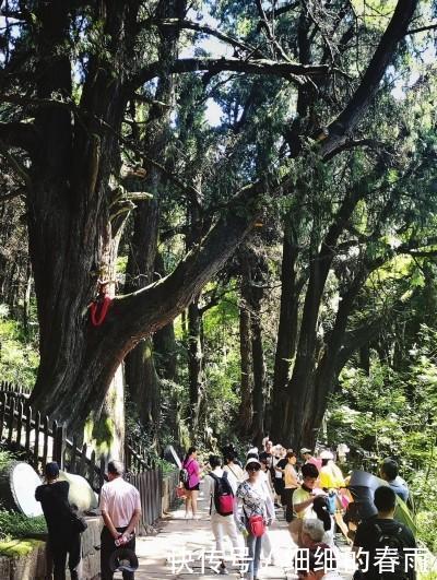 广元避暑胜地，让你清凉一夏