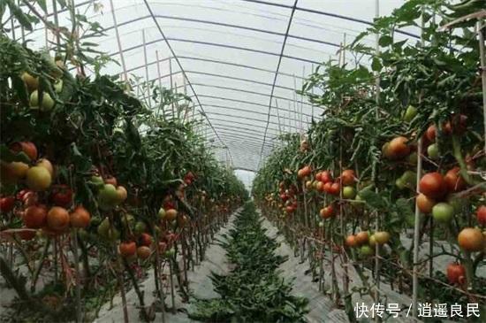  「市场」农村最缺什么市场，十种投资回报大的农村项目