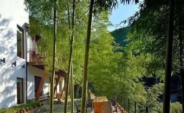  小院@理想中的乡村小院