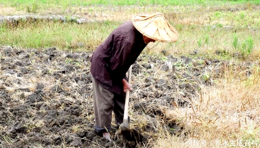  「晚年生活」农村大部分70后的农民，都将面临这3个问题，一定要