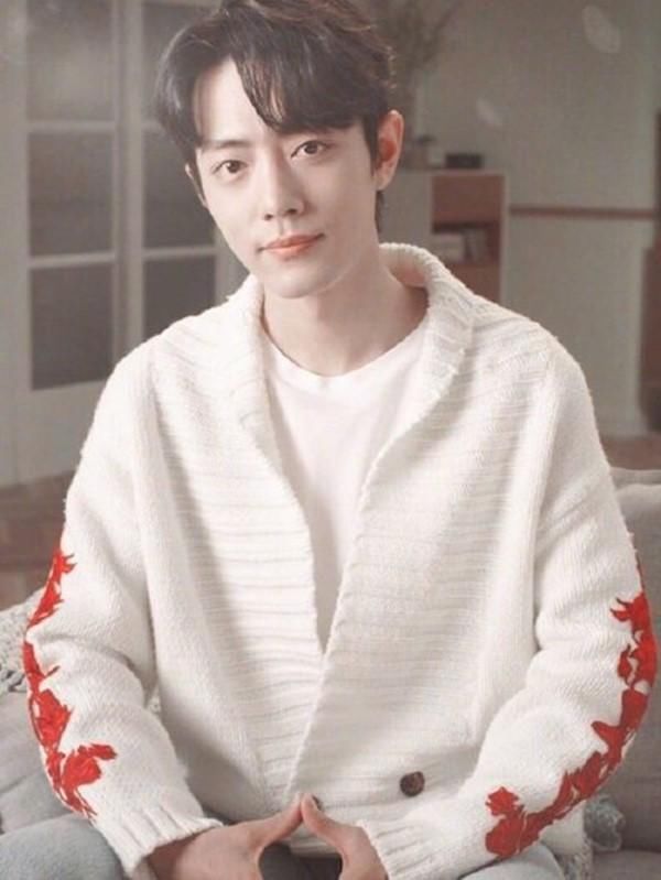 肖战白色枫叶毛衣